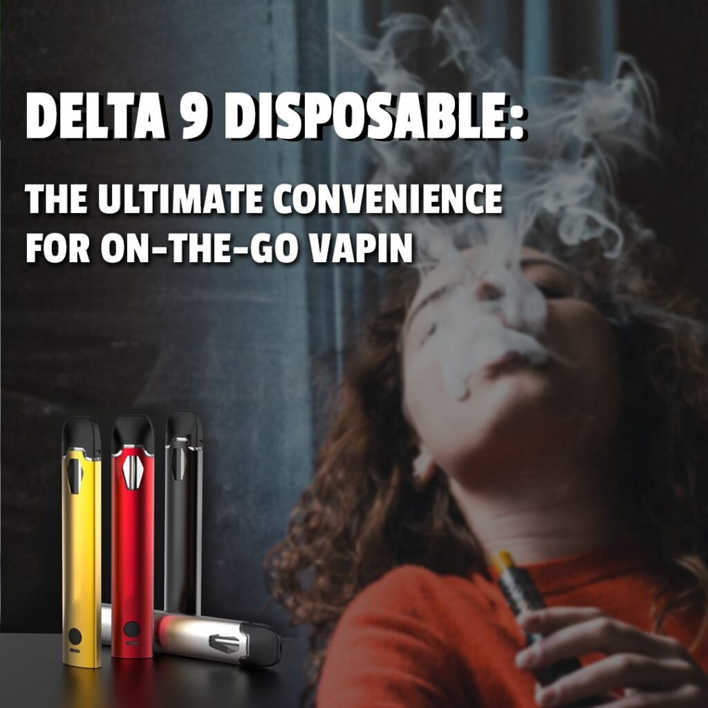 DELTA 9 DISPOSABLE: THE ULTIMATE CONVENIENCE FOR ON-THE-GO VAPIN
